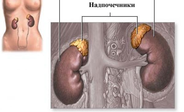 Аденома надпочечника у женщин и мужчин - симптомы и лечение