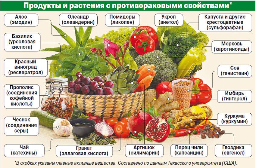 продукты и растения с противораковыми свойствами