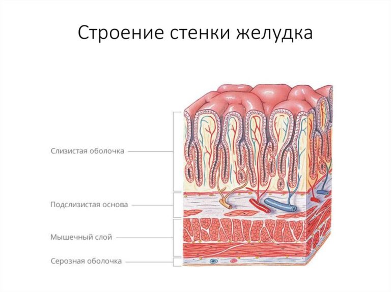 Базальноклеточная карцинома фото и описание